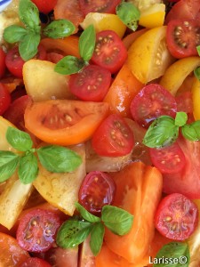 Larisse_Dutch Specials_tomatensalade_©